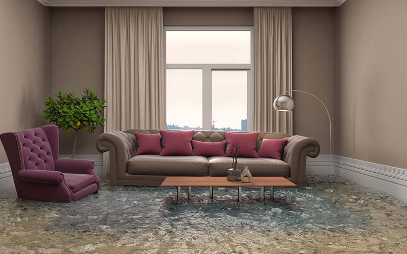 carpet cleaners in Brooklyn, carpet cleaning in Brooklyn, carpet cleaning bkln, carpet cleaners in brooklyn, commercial carpet cleaning, commercial carpet cleaning in brooklyn,carpet cleaning in brooklyn, brooklyn rug cleaners, rug cleaning services in brooklyn, same day carpet cleaning, same day rug cleaning